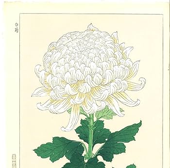 YT1974 木版画 河原崎奨堂【レンギョウ】他5作品　真作保証 61ksfLfDQHL._UF350,350_QL50_.jpg
